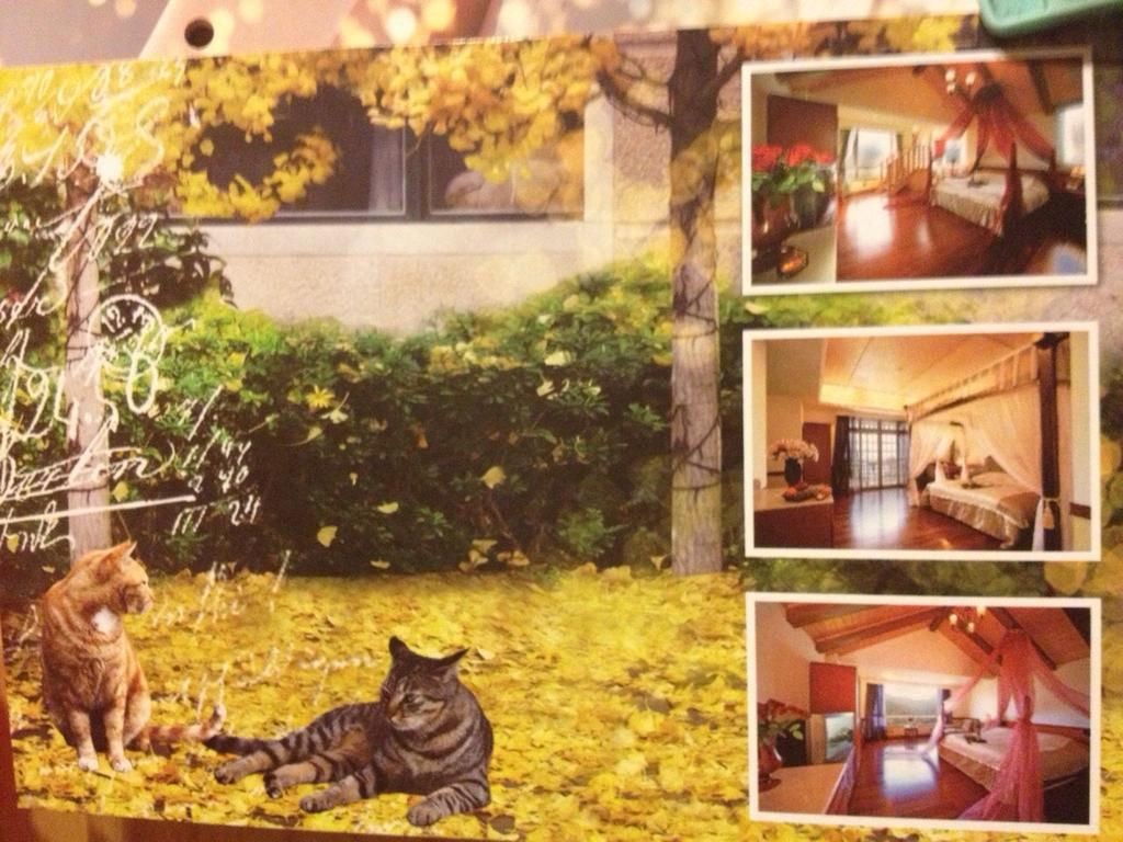 Dream Forest Villa Renai Luaran gambar